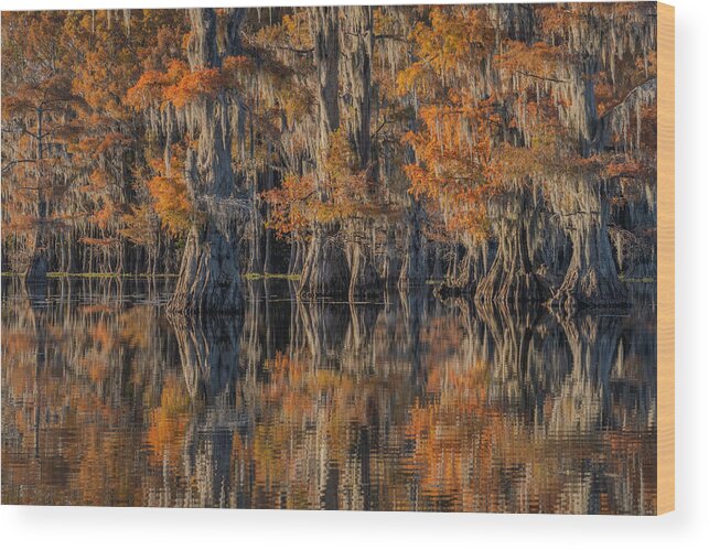  Wood Print featuring the photograph Caddo Lake 4 by Jenny J Rao