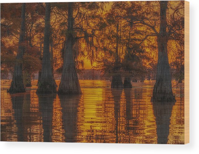  Wood Print featuring the photograph Caddo Lake 5 by Jenny J Rao