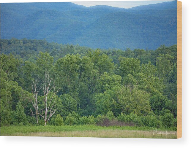 Art Prints Wood Print featuring the photograph Cades Cove 4 by Nunweiler Photography