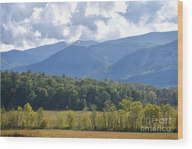 Cades Cove Wood Print featuring the photograph Cades Cove 4 by Phil Perkins