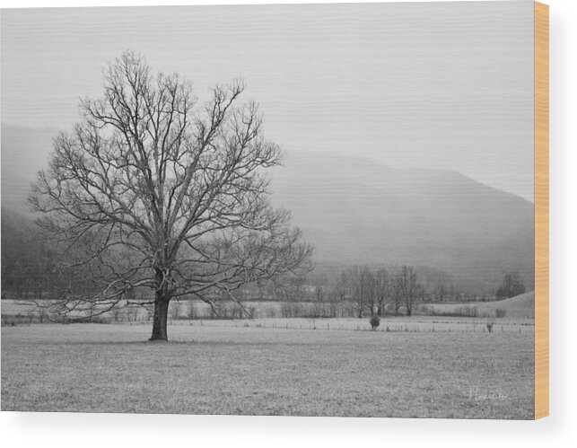 Cades Cove Wood Print featuring the photograph Cades Cove 1 by Nunweiler Photography