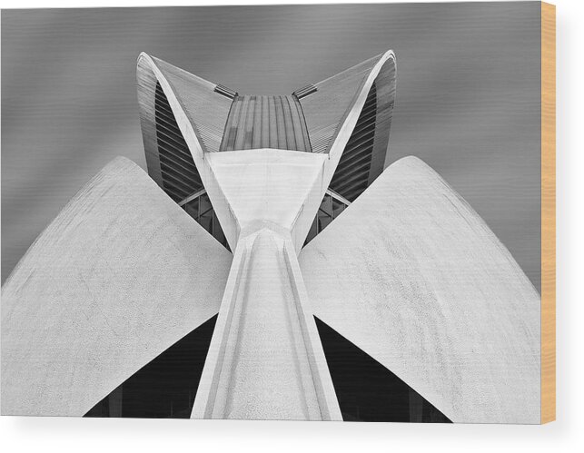 Valencia Wood Print featuring the photograph Calatrava by Alida Van Zaane