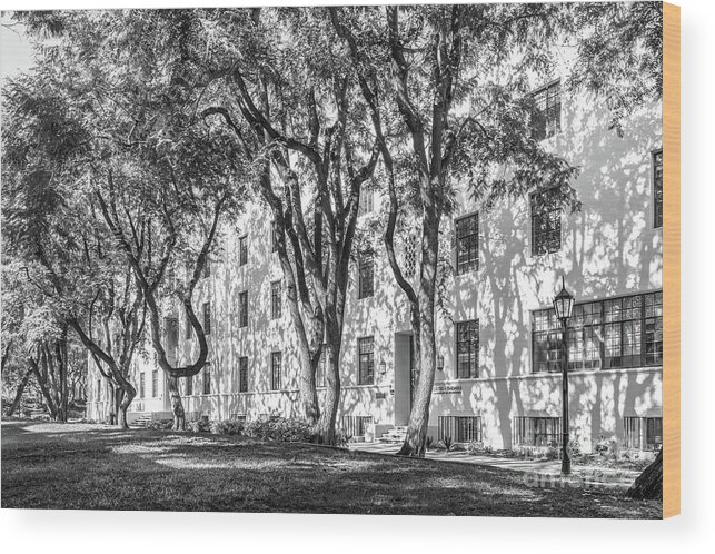 Cal Tech Wood Print featuring the photograph California Institute of Technology Thomas Hall by University Icons
