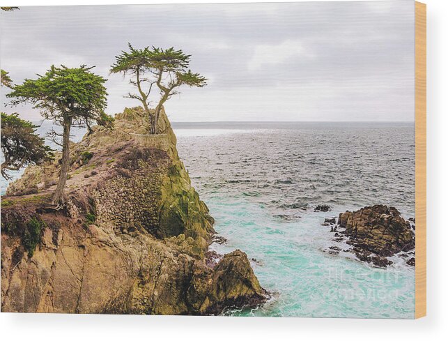 Top Artist Wood Print featuring the photograph 0720 California Pacific Coast Road Trip by Amyn Nasser Photographer