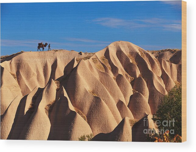 Kapadokya Wood Print featuring the photograph Camel And The Cameleer On The Rock by Yavuz Sariyildiz