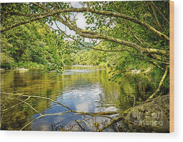 Canal Pool Wood Print featuring the photograph Canal Pool by Tom Cameron