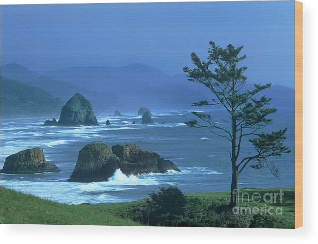 Dave Weling Wood Print featuring the photograph Cannon Beach And Haystack Rock Ecola State Beach Oregon by Dave Welling
