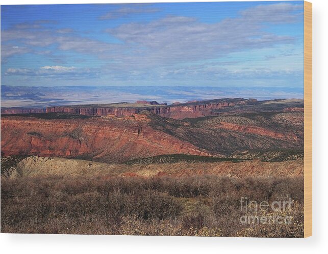  Canyons Of Utah Wood Print featuring the photograph Canyons of Utah by Marcia Lee Jones