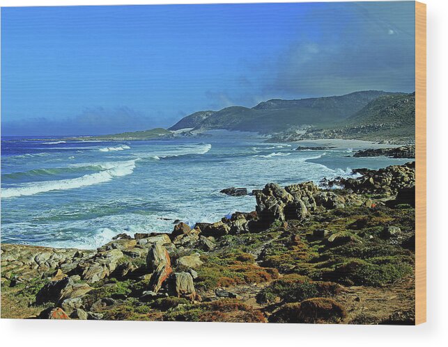 Cape Of Good Hope Wood Print featuring the photograph Cape of Good Hope by Richard Krebs