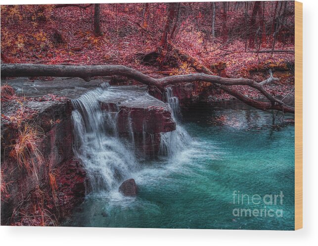 Waterfall Wood Print featuring the photograph Caron Falls by Bill Frische