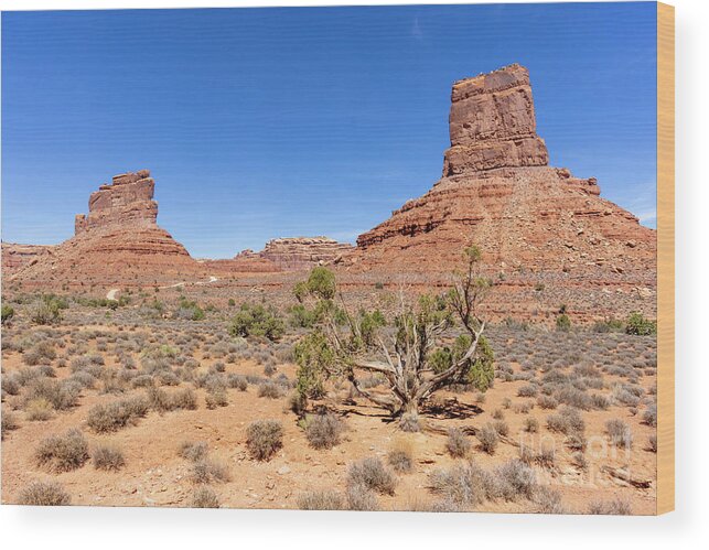 Bureau Of Land Management Wood Print featuring the photograph Castle Butte and other formations in Valley of the Gods near Mex by William Kuta