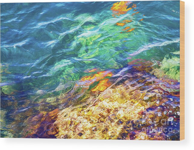 Catalina Wood Print featuring the photograph Catalina Shore with Garibaldi Reflections by Roslyn Wilkins