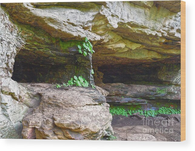 Tennessee Wood Print featuring the photograph Caves In A Cliff by Phil Perkins