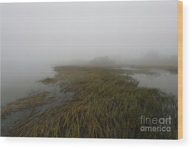 Fog Wood Print featuring the photograph Charleston Fog - Wando River by Dale Powell