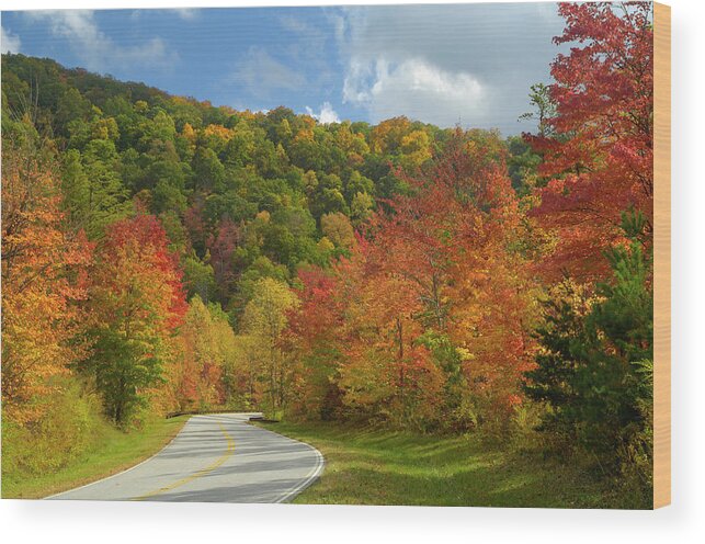 Scenics Wood Print featuring the photograph Cherohala Skyway In Late October, Nc by Greenstock