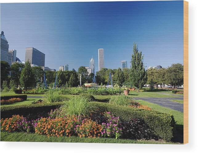 Flowerbed Wood Print featuring the photograph Chicago From Grant Park by Stevegeer