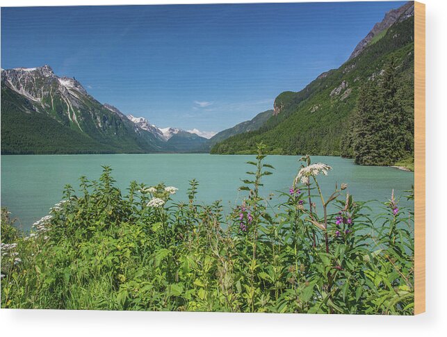 Alaska Wood Print featuring the photograph Chilkat Lake Alaska by Douglas Wielfaert