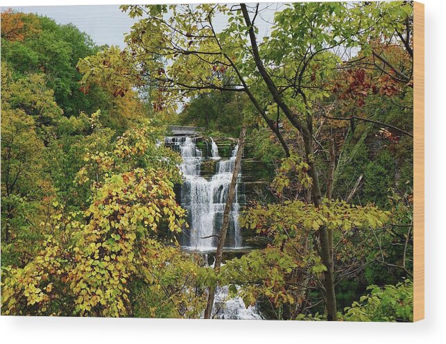 Chittenango Falls Wood Print featuring the photograph Chittenango Falls by Kathy Chism