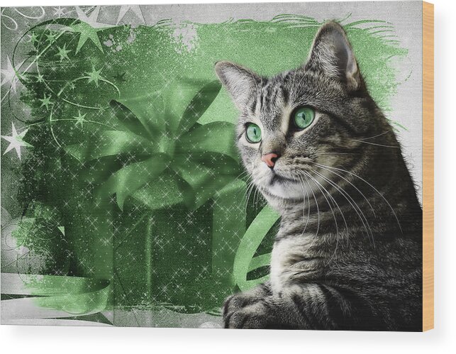 Christmas Wood Print featuring the digital art Christmas Silver Tabby Cat with Green by Doreen Erhardt
