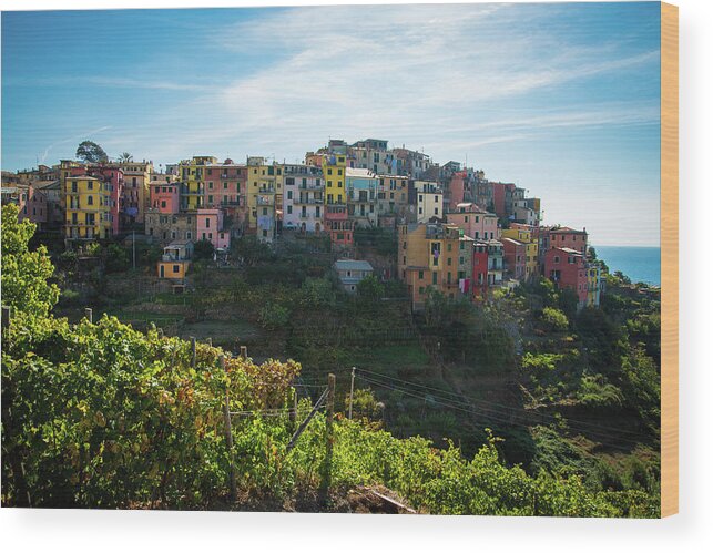 Italy Wood Print featuring the photograph Cinque Terre by Raf Winterpacht