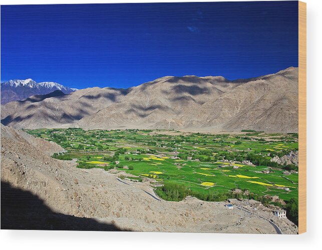 Tranquility Wood Print featuring the photograph Cityscape | Leh by Copyright Dhurjati Chatterjee