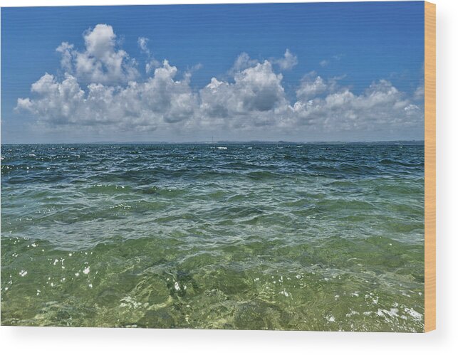 Clouds Wood Print featuring the photograph Clouds on the Water by Eric Hafner
