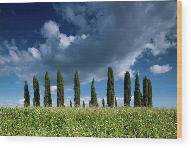 Clouds Over Cypress Hill Wood Print featuring the photograph Clouds Over Cypress Hill by Michael Blanchette Photography