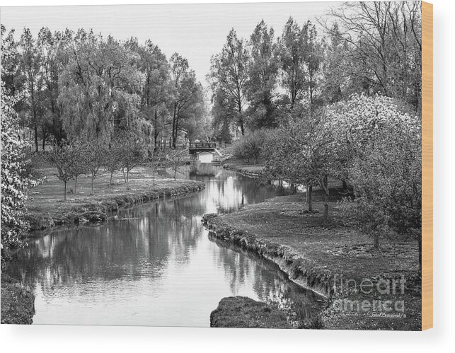 Colgate University Wood Print featuring the photograph Colgate University Campus Landscape by University Icons