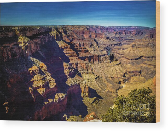 Jon Burch Wood Print featuring the photograph Colorado River and the Grand Canyon by Jon Burch Photography