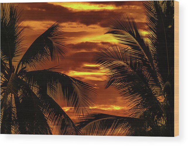 Hawaii Wood Print featuring the photograph Colorful Clouds behind Palms by John Bauer