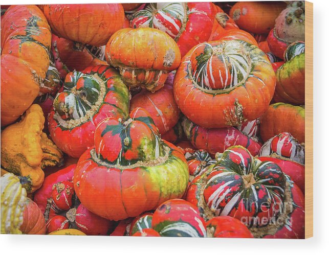 Pumpkin Wood Print featuring the photograph Colorful pumpkins by Lyl Dil Creations