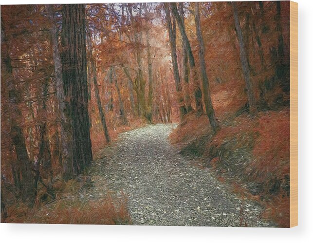 Fall Wood Print featuring the photograph Colorful Rocky Path by Bill Posner
