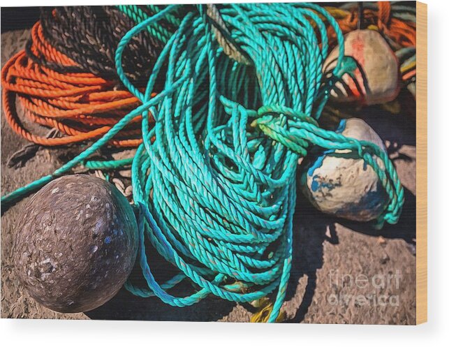 Ropes Wood Print featuring the photograph Colorful Ropes by Eva Lechner