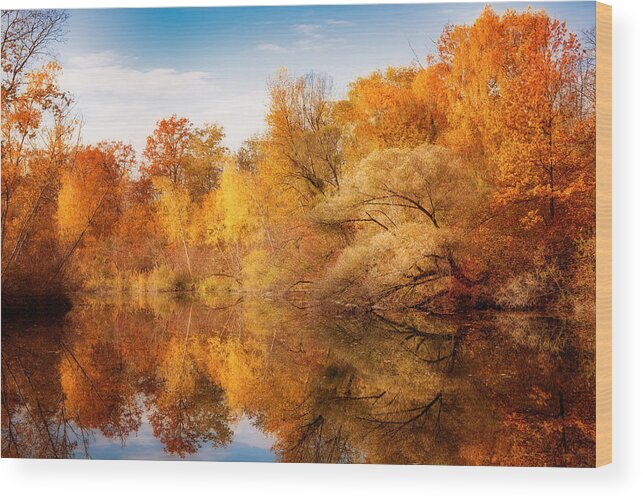 Forest Wood Print featuring the photograph Colors Explosion by Philippe Sainte-Laudy