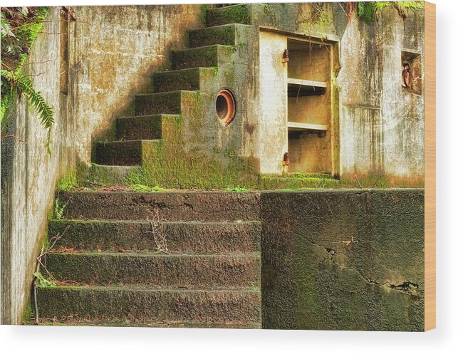 Stairs Wood Print featuring the photograph Concrete Weathered Stairway by Dee Browning