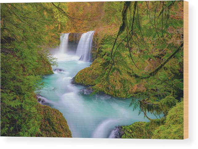 Waterfall Wood Print featuring the photograph Cool Mountain Water Flows Outward to the Sea by Gary Kochel