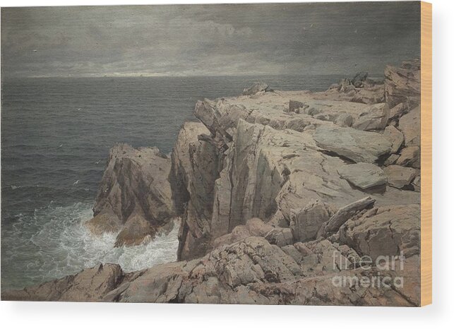 Cormorant Wood Print featuring the drawing Cormorant Cliff by Heritage Images