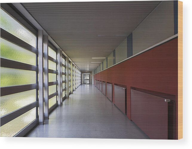 New Business Wood Print featuring the photograph Corporate Interior by Elkor