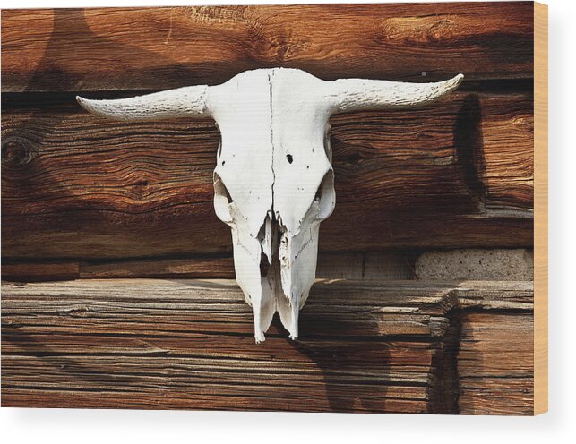 Horned Wood Print featuring the photograph Cow Skull by Imaginegolf