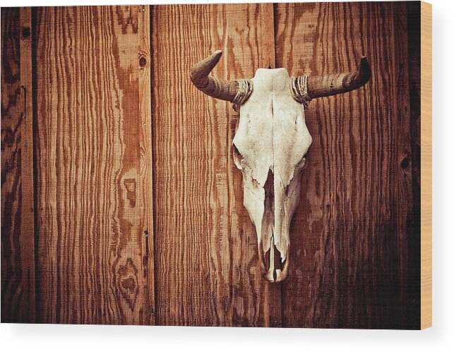 Animal Skull Wood Print featuring the photograph Cow Skull by Thepalmer