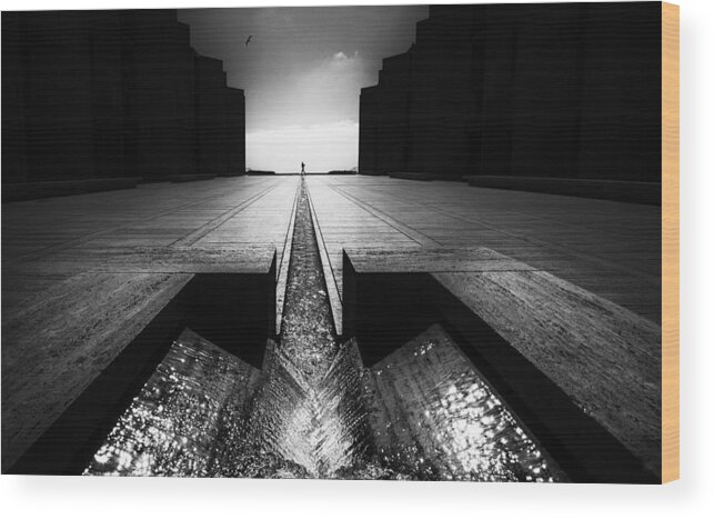 Salk Wood Print featuring the photograph Crossing The Stream by Tina Kim