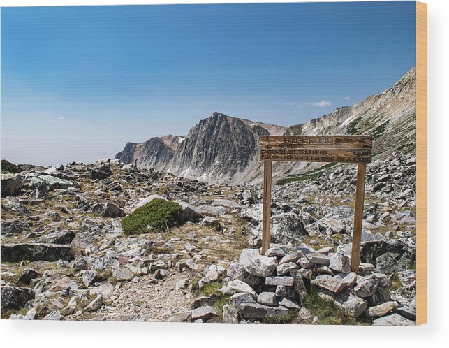 Landscape Wood Print featuring the photograph Crossroads at Medicine Bow Peak by Nicole Lloyd