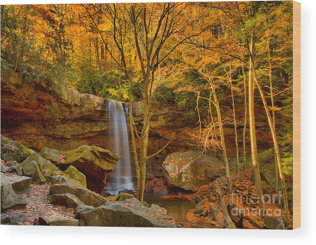 Cucumber Falls Wood Print featuring the photograph Cucumber Falls Golden Canopy by Adam Jewell