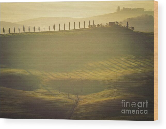 Landscape Wood Print featuring the photograph Cypress Line in Tuscan Scenery by Heiko Koehrer-Wagner