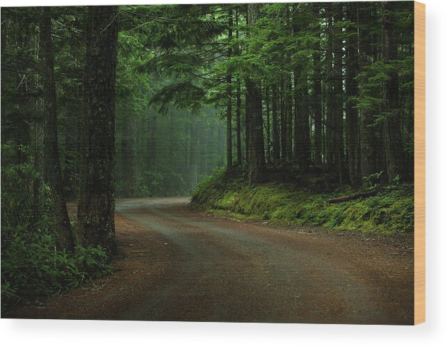 Scenics Wood Print featuring the photograph Dark Forest by Andipantz