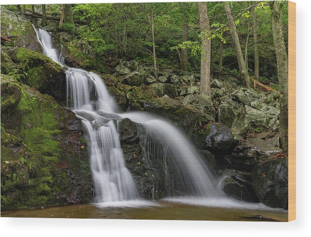 Waterfall Wood Print featuring the photograph Dark Hollow Falls by William Dickman