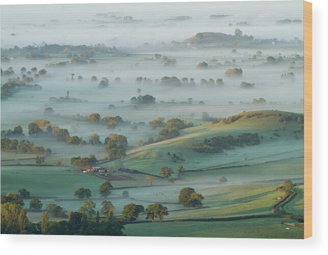 Dawn Wood Print featuring the photograph Dawn Mist On Somerset Levels by Dr T J Martin