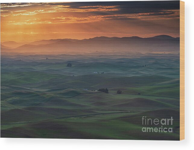 Palouse Wood Print featuring the photograph Dawn Rays over the Palouse by Michael Dawson