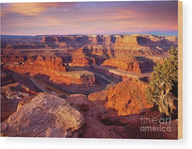 America Wood Print featuring the photograph Dead Horse Point View by Brian Jannsen