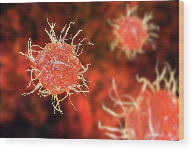 Adaptive Immunity Wood Print featuring the photograph Dendritic Cell, Illustration by Kateryna Kon